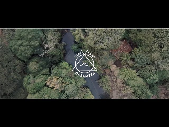 Explora dreamsea surf nicaragua: la experiencia perfecta para surfers y viajeros 1 dreamsea surf nicaragua